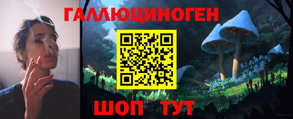 Псилоцибиновые грибы Psilocybe Маркс